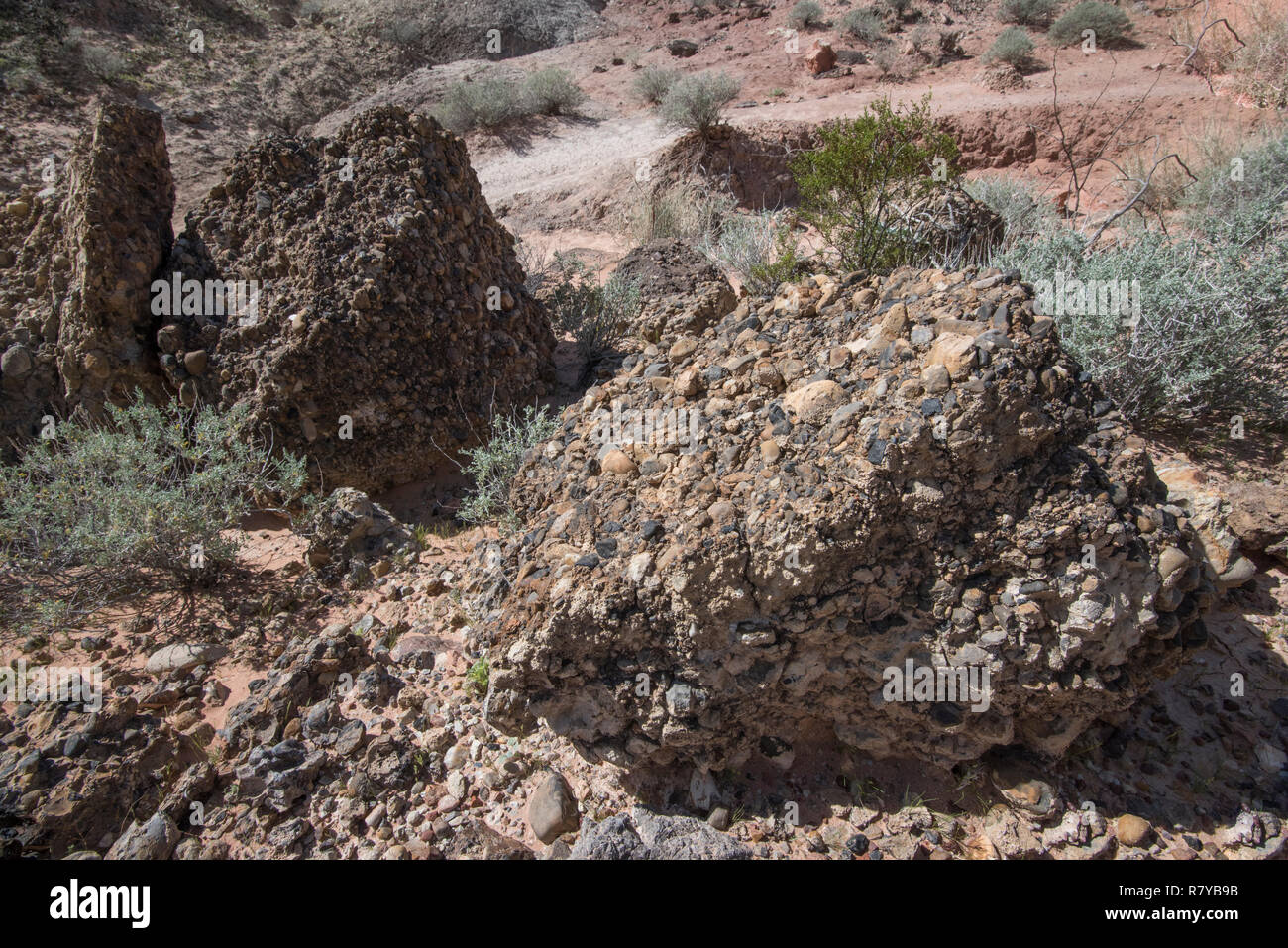 Große Felsbrocken von Konkretionen, Tal des Feuers, Nevada Stockfoto