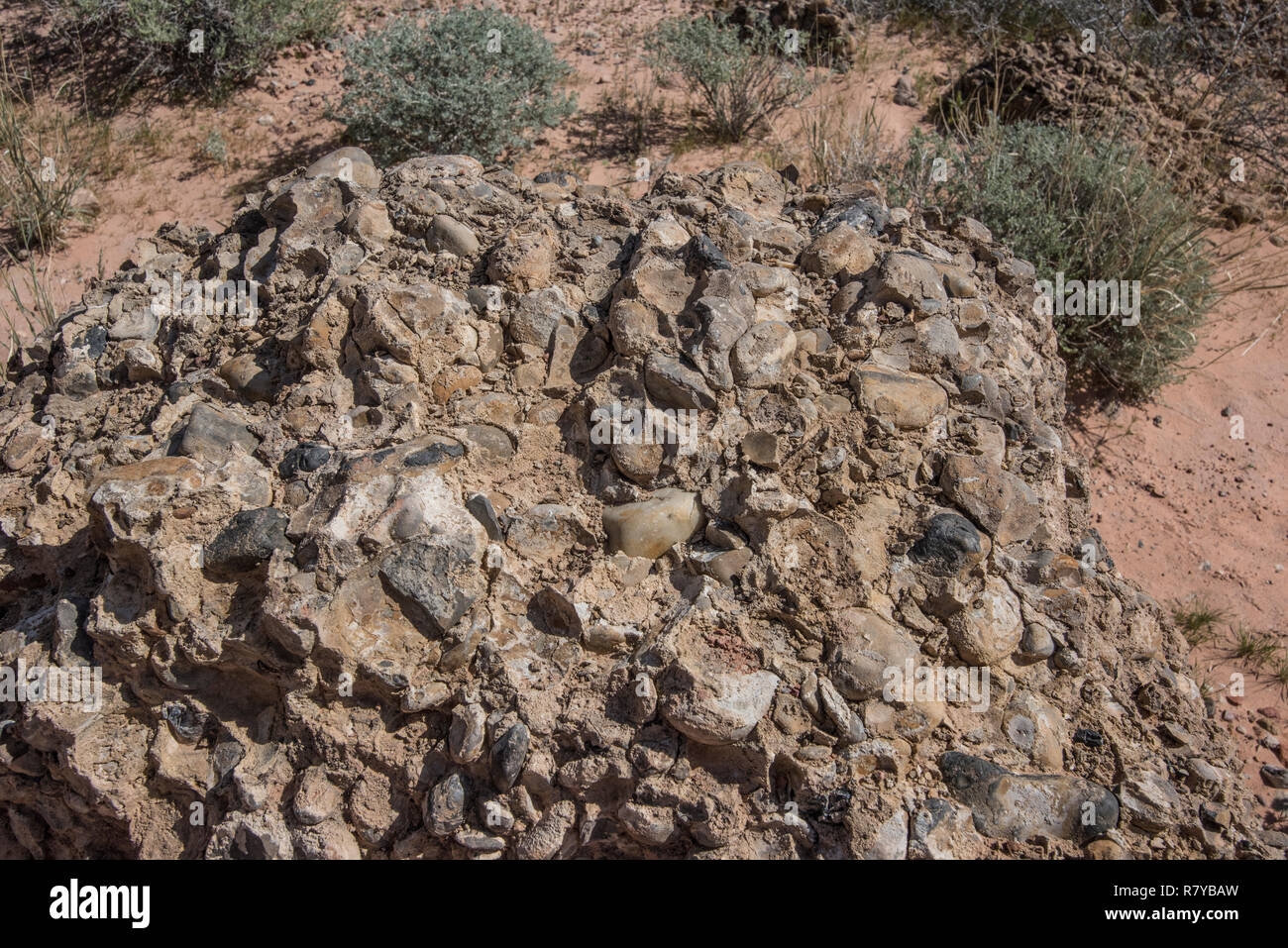 Große Konkretion Rock, Tal des Feuers, Nevada Stockfoto