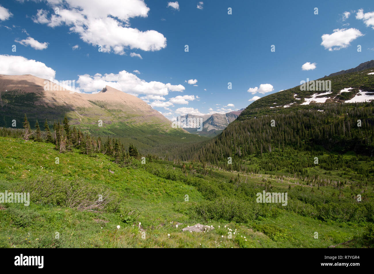 Sommer Blick in das Ptarmigan Tal im Glacier National Park Stockfoto