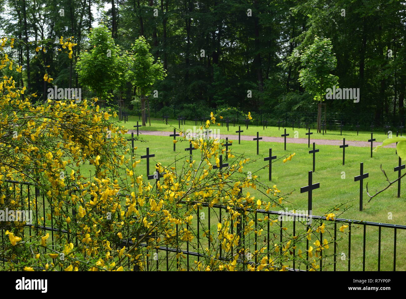 Ein warmer Sommertag in einer 2ww Ehrenfriedhof in Reimsbach ist ein Soldatenfriedhof, an den Ausläufern des Hunsrücks hohen Wald auf dem Land gelegen Stockfoto