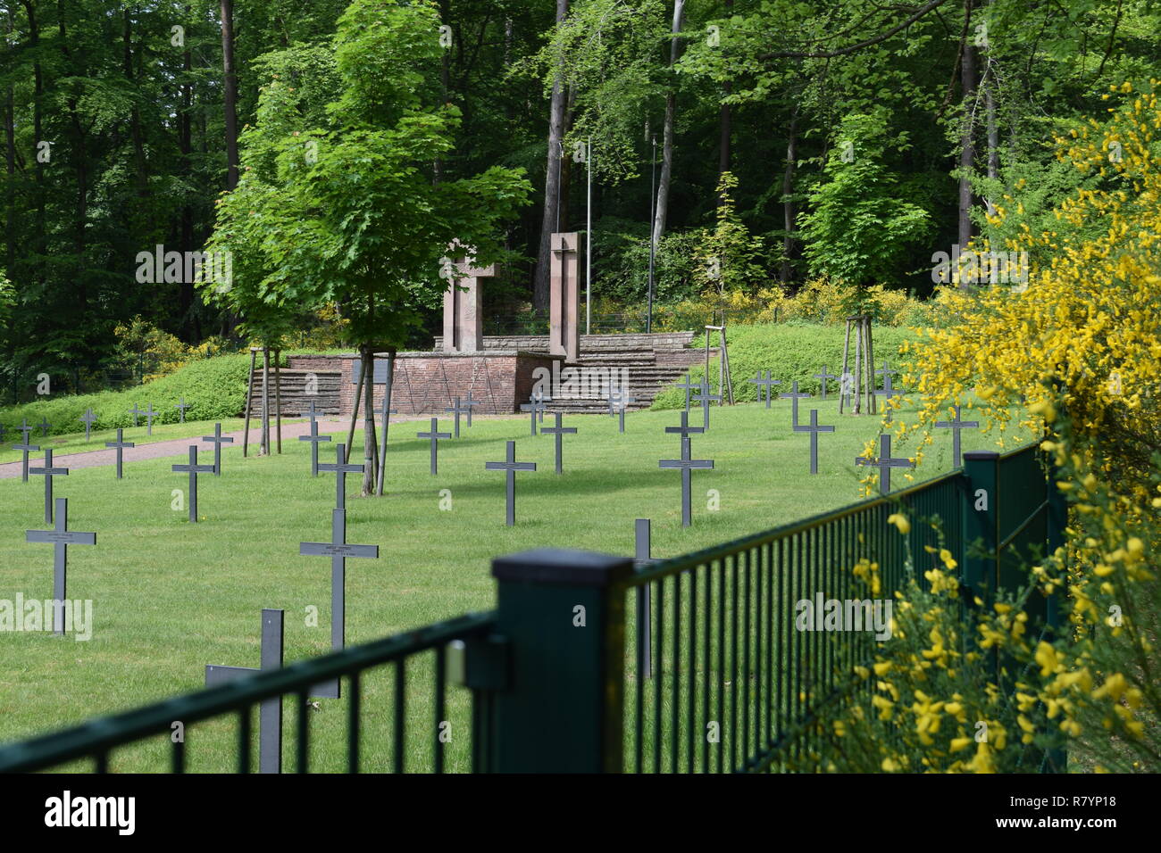 Ein warmer Sommertag in einer 2ww Ehrenfriedhof in Reimsbach ist ein Soldatenfriedhof, an den Ausläufern des Hunsrücks hohen Wald auf dem Land gelegen Stockfoto