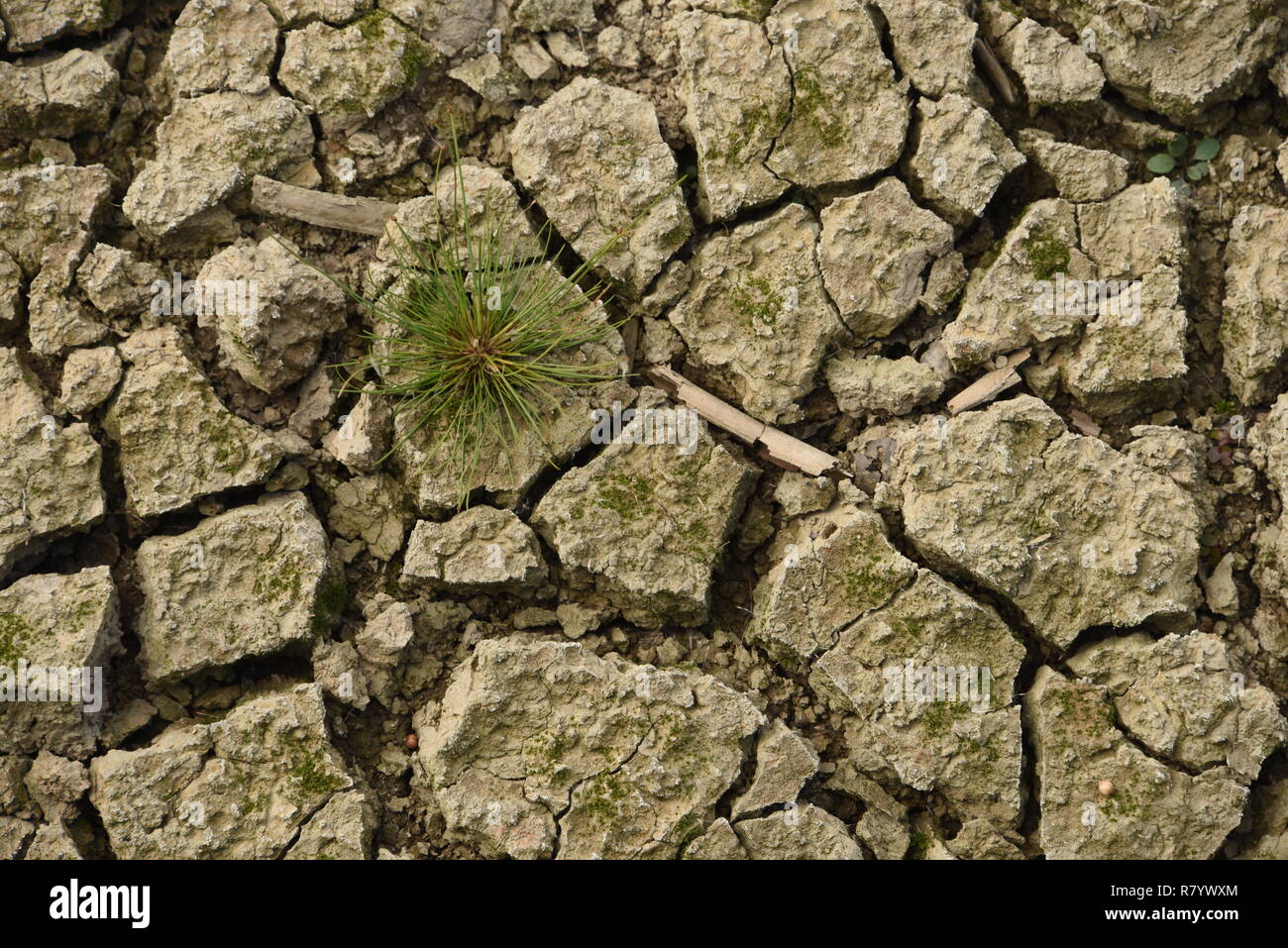 Getrockneter und rissiger Schlamm signalisiert Dürre Stockfoto