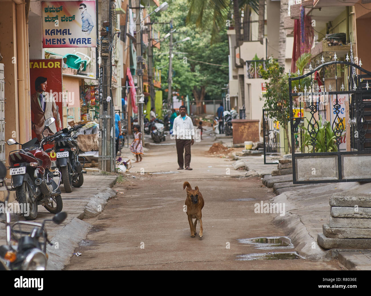 Ein Hund und ein Mann auf einer kleinen Straße in der Innenstadt von Bangalore. Stockfoto