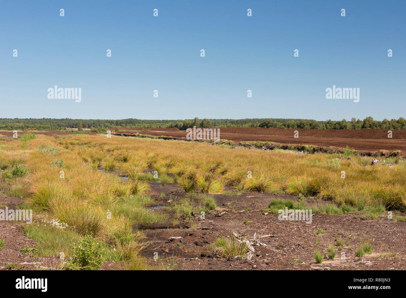 Torfgewinnung auf Totes Moor. Niedersachsen, Deutschland Stockfoto