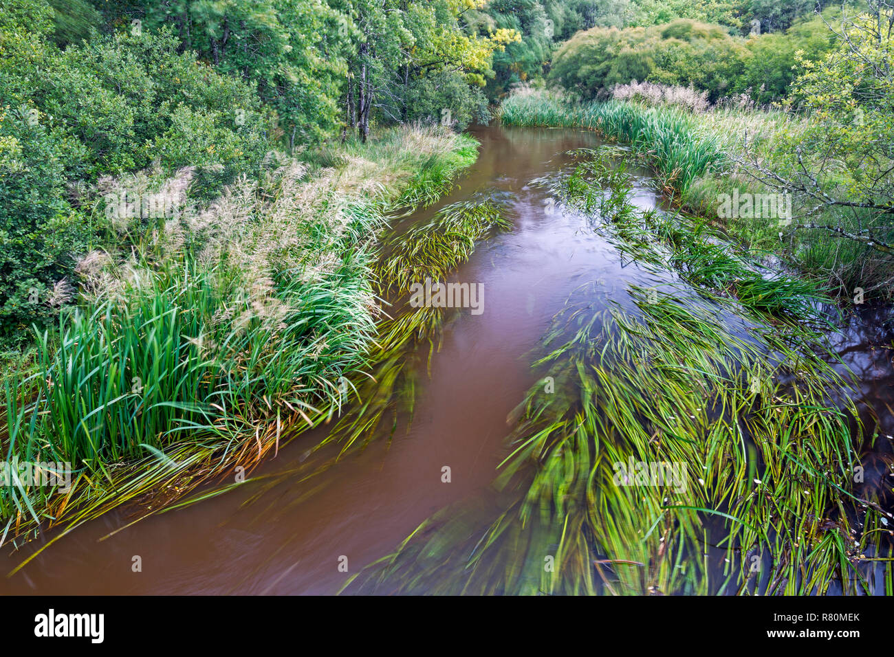 Flusslandschaft in Jütland, Dänemark Stockfoto