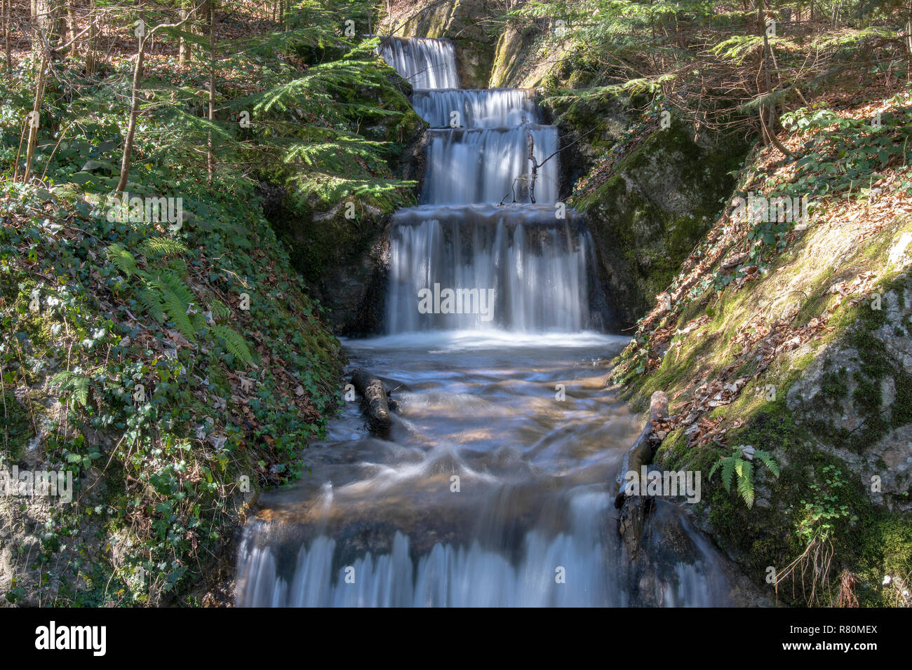 Channelized stream im frühen Frühling. Hoeglwoerther sehen, Zorn, altsalzburger, Berchtesgadener Land, Oberbayern, Deutschland Stockfoto