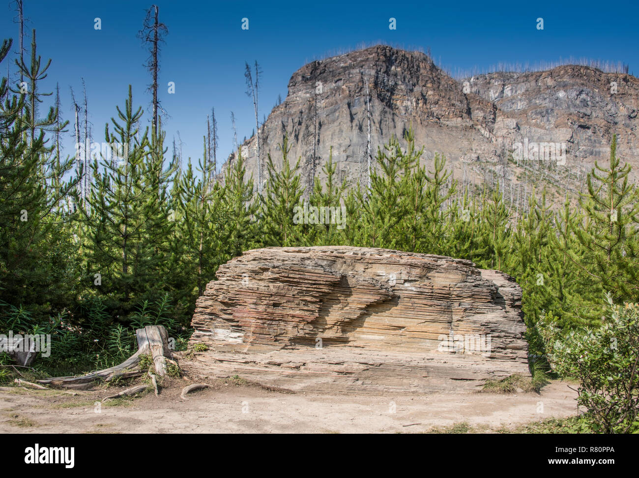 Sedimentgestein mit Hintergrund Stockfoto