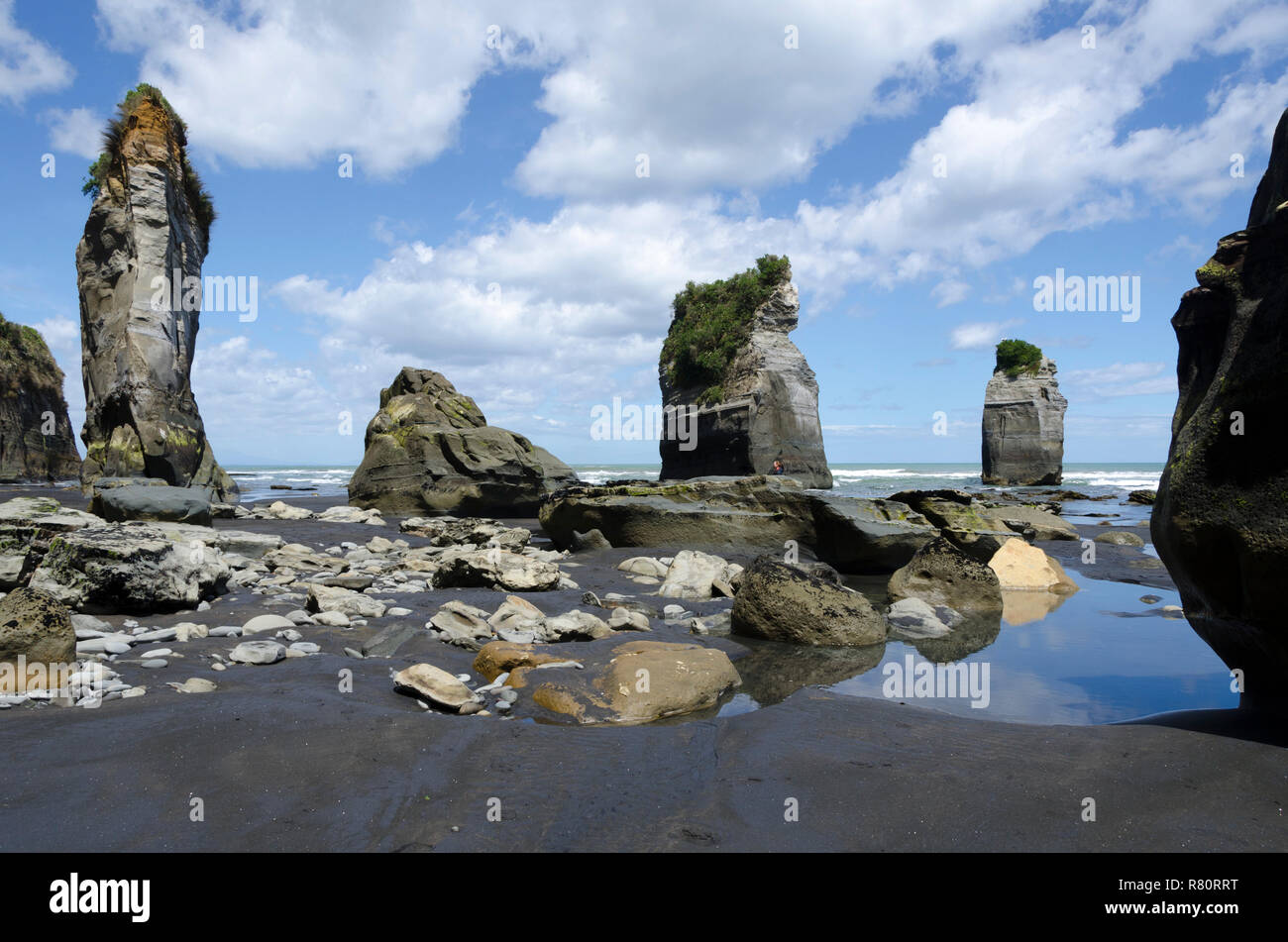 Rock Säulen, drei Schwestern, Tongaporutu, Taranaki, North Island, Neuseeland Stockfoto