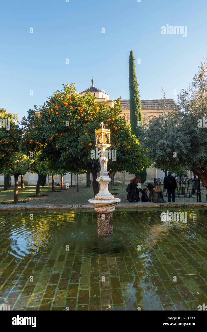 Brunnen im Patio de Los Naranjos, orange Quadrat, ehemaliger Kalifat Innenhof, e Teich, Moschee, die Kathedrale von Cordoba, Andalusien, Spanien. Stockfoto