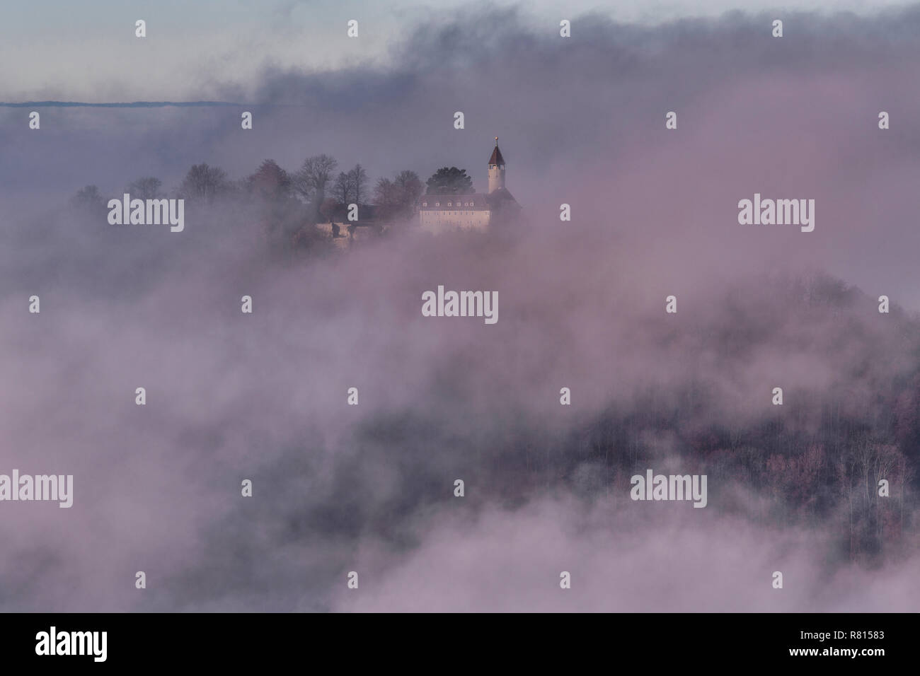 Nebel, Teck Schloss, Biosphärenreservat Schwäbische Alb, Baden-Württemberg, Deutschland Stockfoto