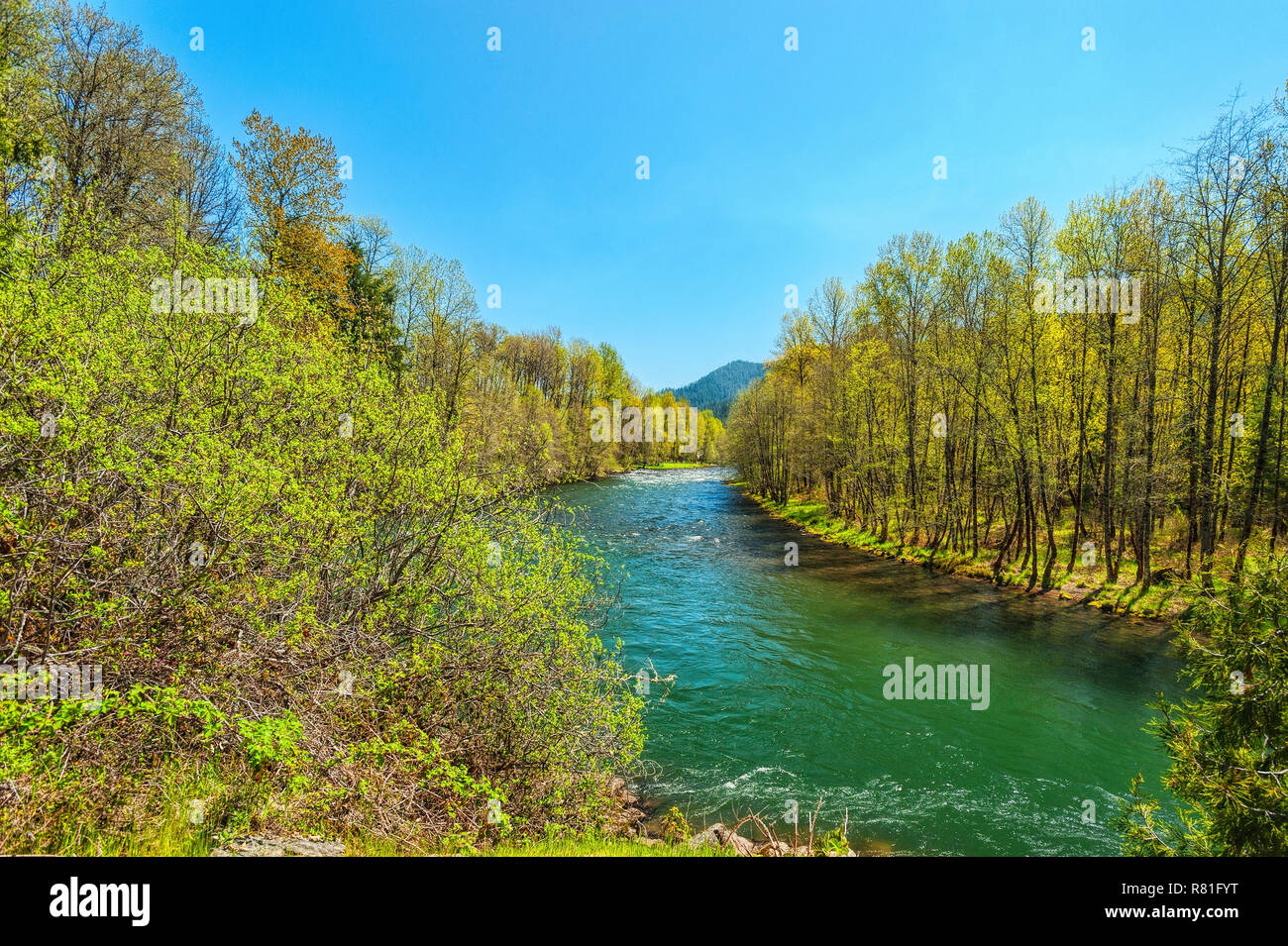 Mittlere Gabel des Willamette River, für die grünen Wasser in Oak Ridge, Tennessee bekannt Stockfoto
