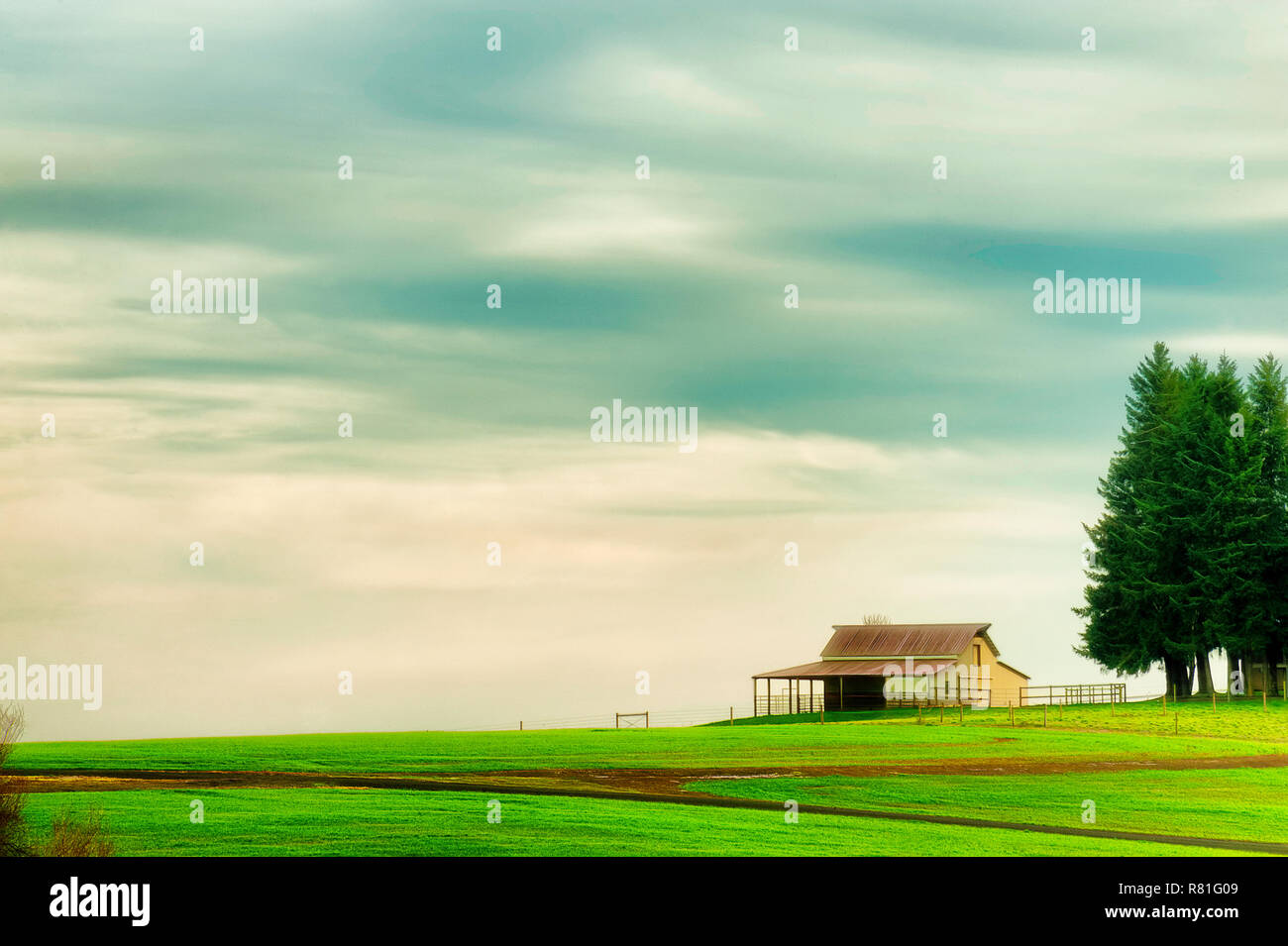 Diese minimalistische ländlichen Bauernhof Szene einer kleinen Struktur und Bäume auf grünen Wiesen mit Big Sky für Copyspace. Stockfoto