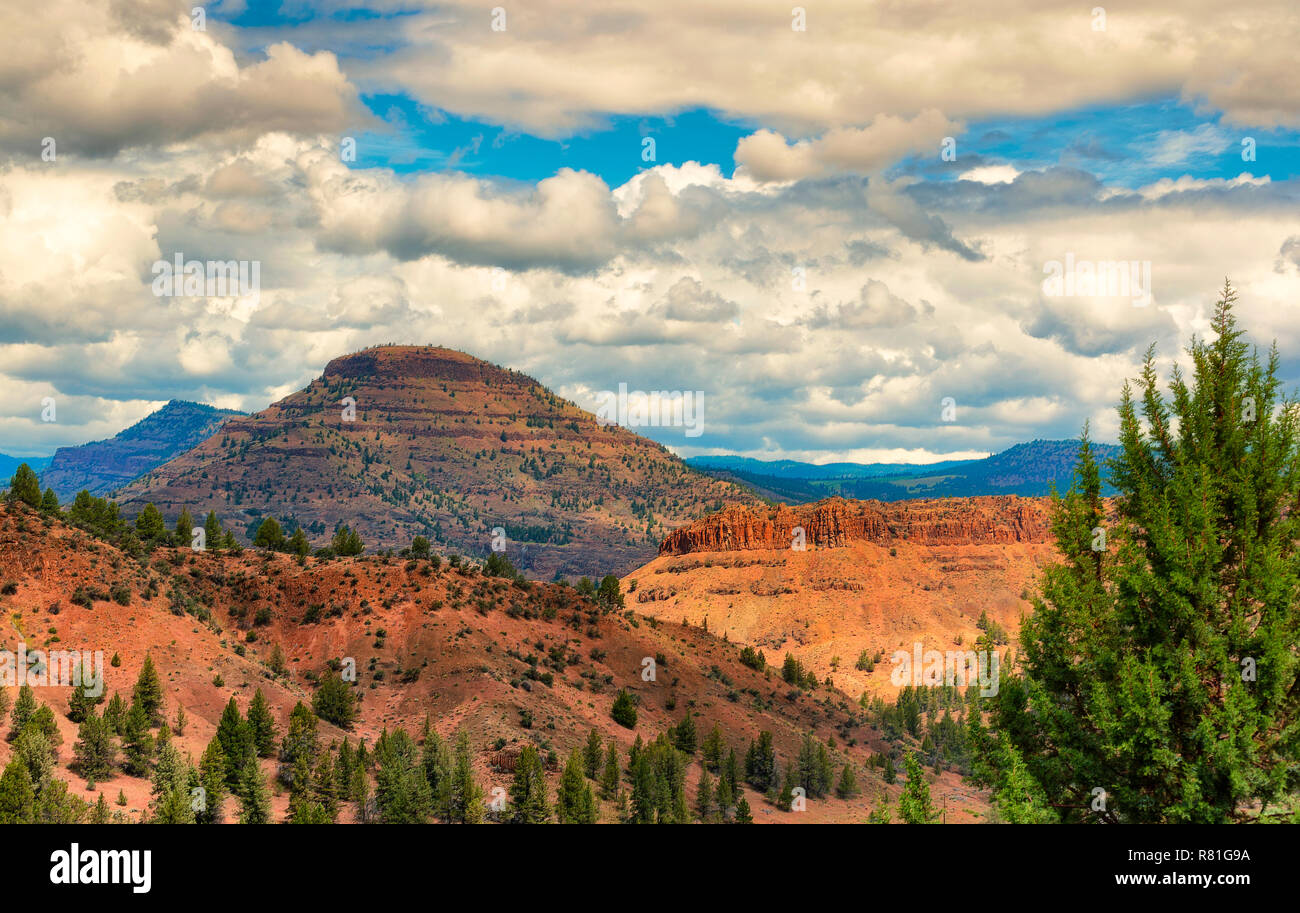 Hohe Wüste Landschaft, in der die geologischen Merkmale, sagebrush und Pinien in ländlichen Grant County in der Nähe von Kimberly, Oregon Stockfoto