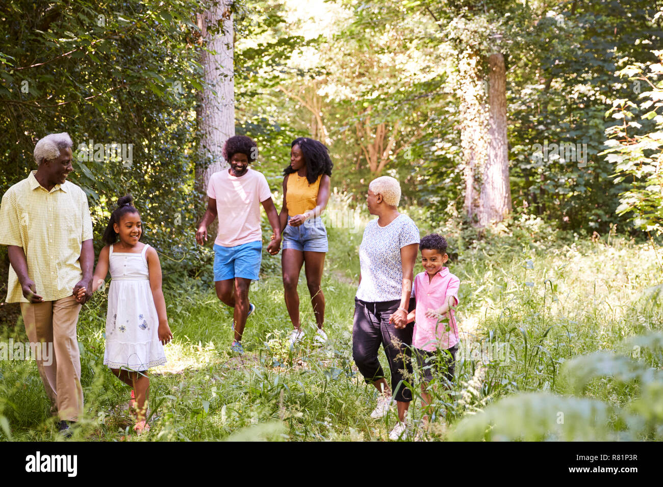 Multi-Generation schwarze Familie gemeinsam Wandern im Wald Stockfoto