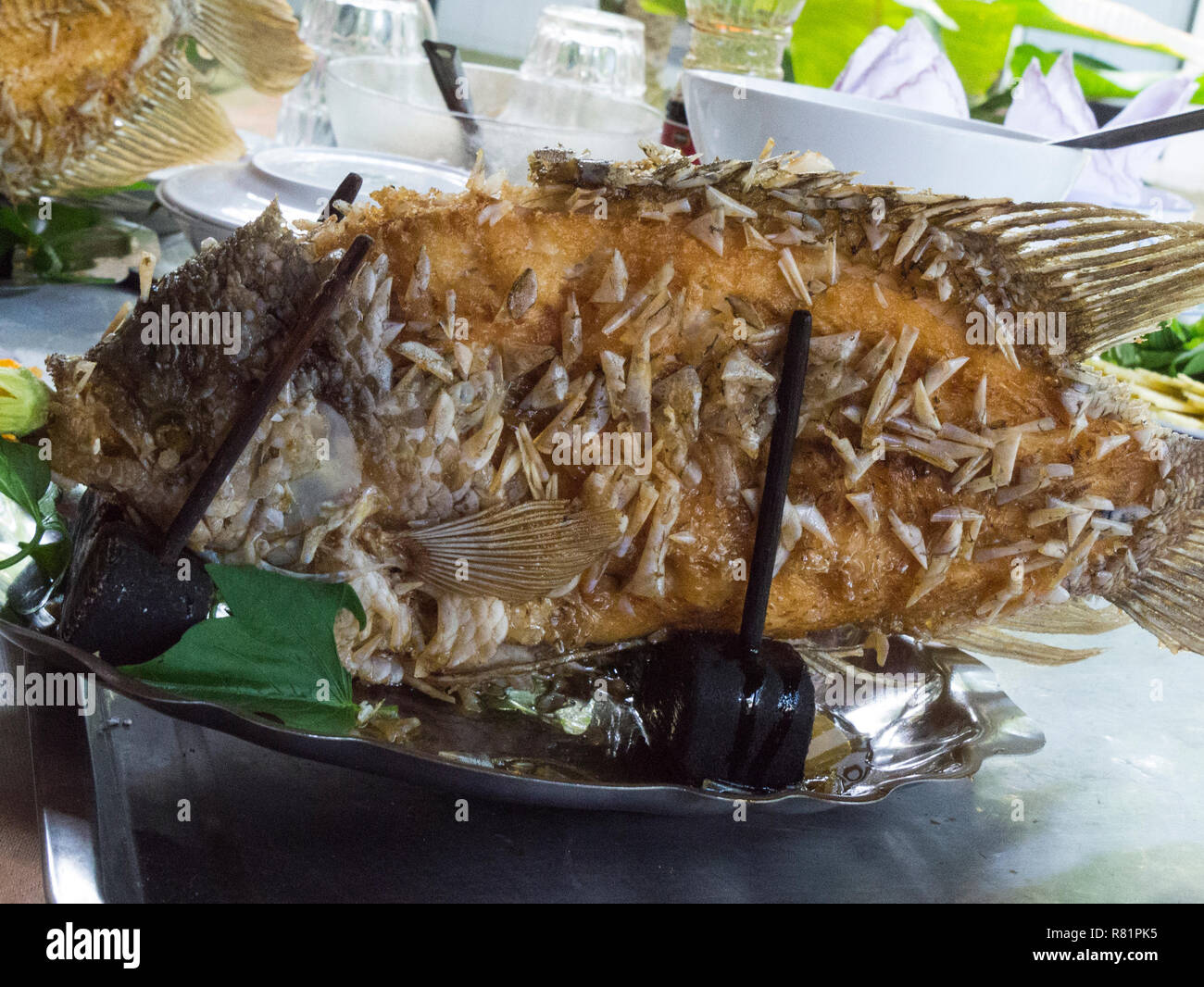 Deep Fried Elephant Ohr Fisch kann Tai Tuong Chien Xu Hauptteil der Touristen Mahlzeit in Herrn Kiet Historisches Haus Cai, Vietnam Asien Stockfoto