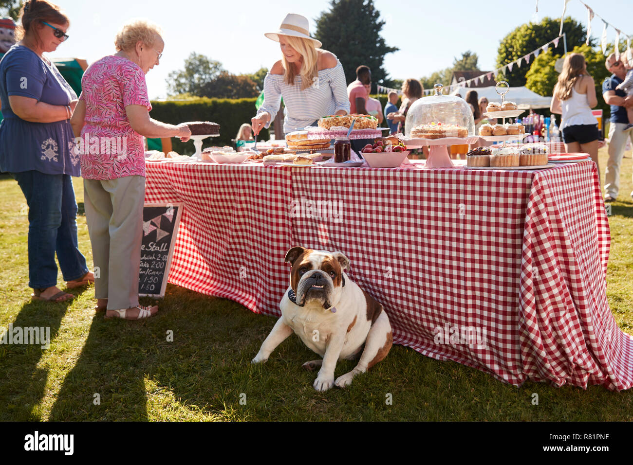 Englische Bulldogge sitzt von Kuchen Abschaltdruck am beschäftigten Sommer Garten Fete Stockfoto