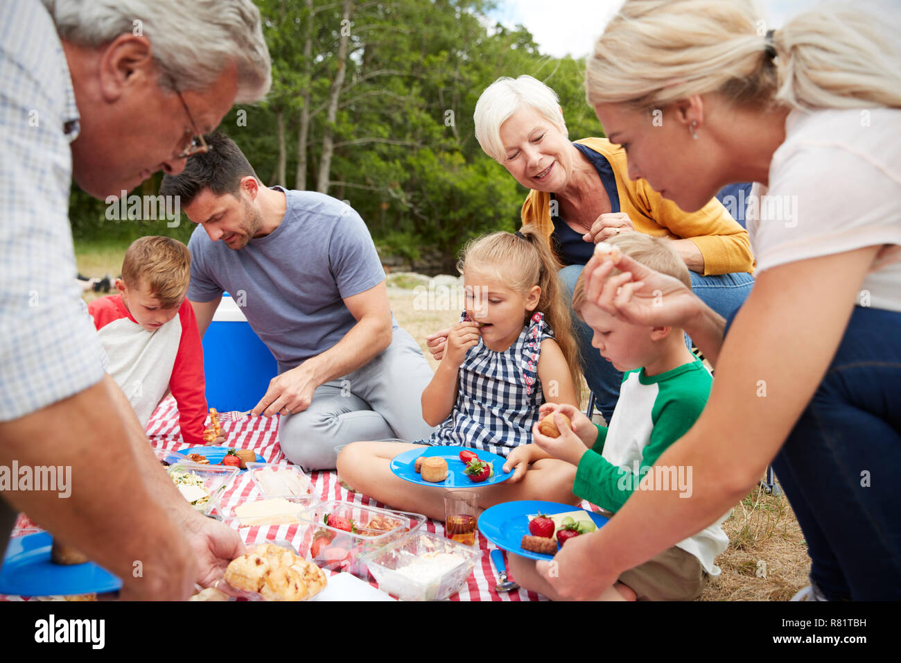 Multi-Generationen-Familie Picknick In der Natur Stockfoto