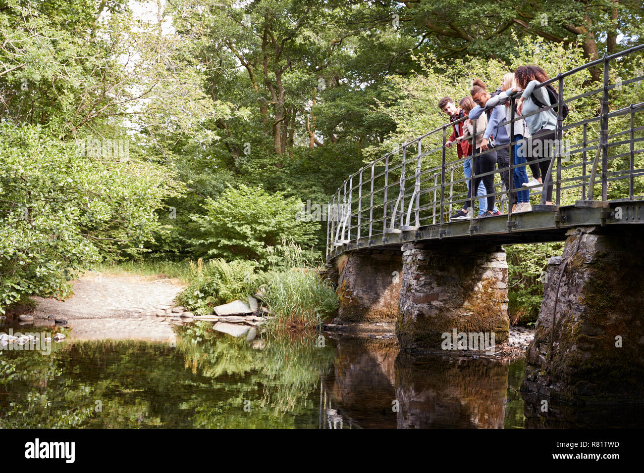 Multi-ethnische Gruppe von fünf jungen Erwachsenen Freunde aus einer Brücke, die während der Wanderung Stockfoto