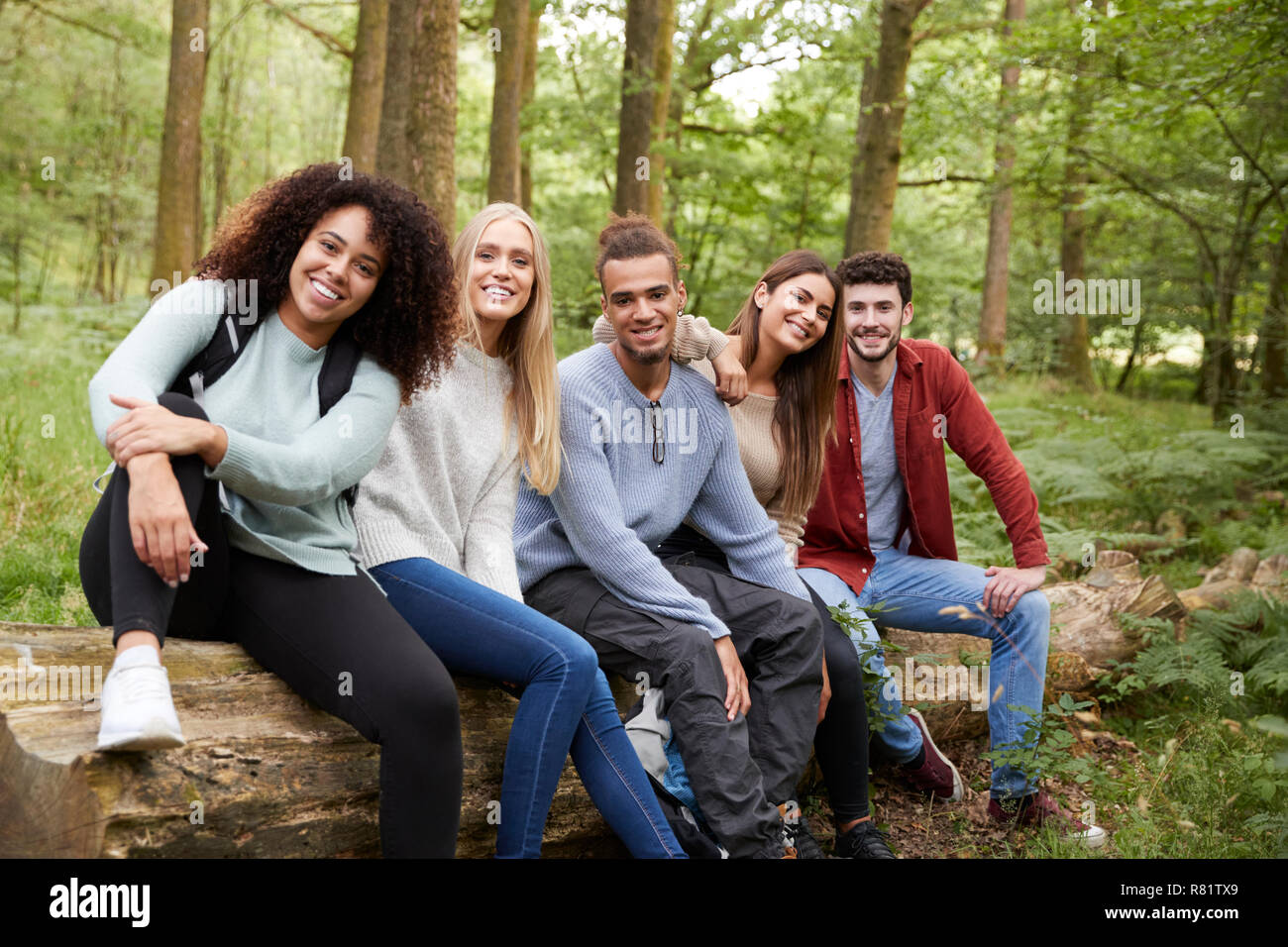 Multi-ethnische Gruppe von fünf jungen Erwachsenen Freunde eine Pause machen, sitzt auf einem Baum in einem Wald bei einer Wanderung, Porträt Stockfoto
