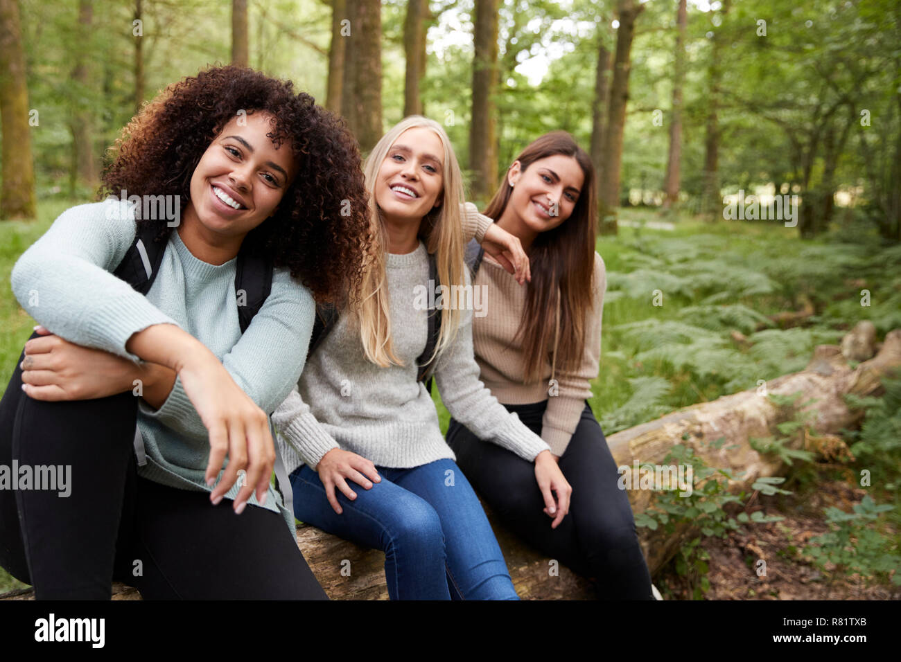 Drei glücklichen jungen erwachsenen Frauen eine Pause machen, sitzt auf einem Baum in einem Wald bei einer Wanderung, Porträt Stockfoto