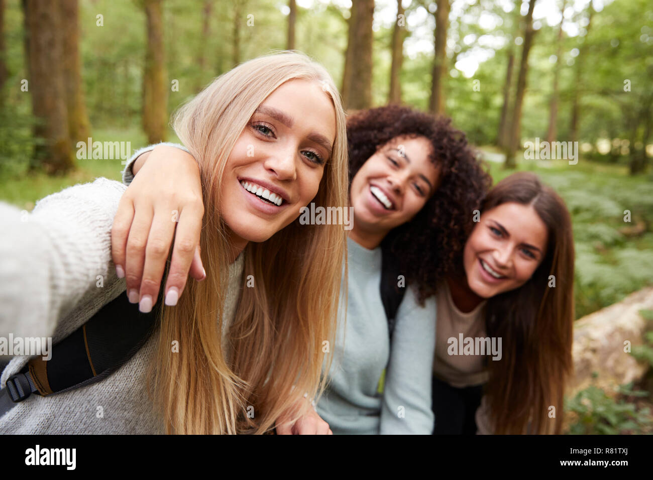 Drei junge erwachsene Frauen, die ein selfie in einem Wald bei einer Wanderung, in der Nähe Stockfoto