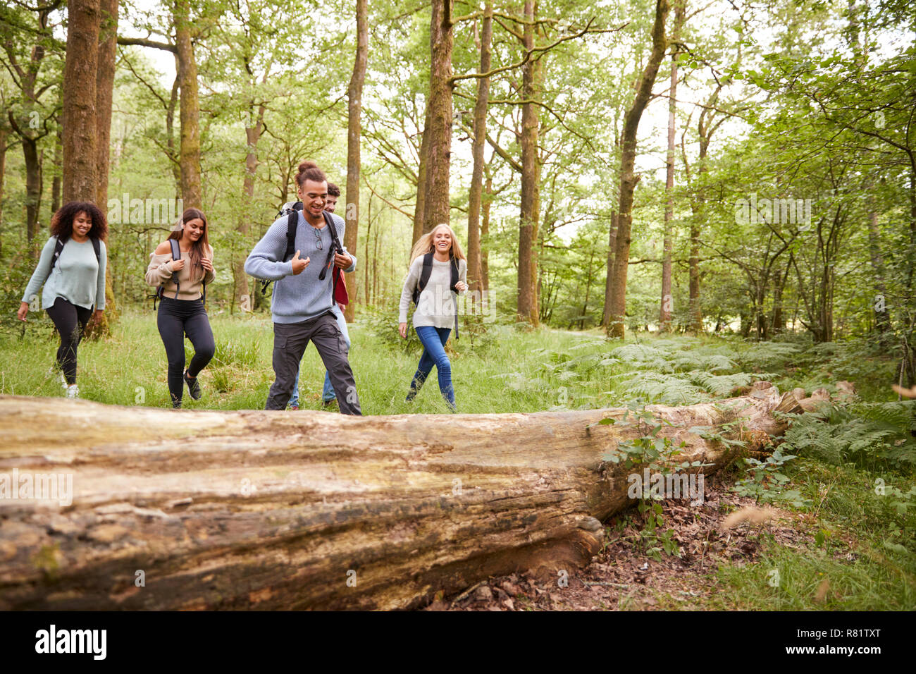 Multi-ethnische Gruppe von fünf jungen Erwachsenen Freunde zu Fuß in einem Wald bei einer Wanderung Stockfoto
