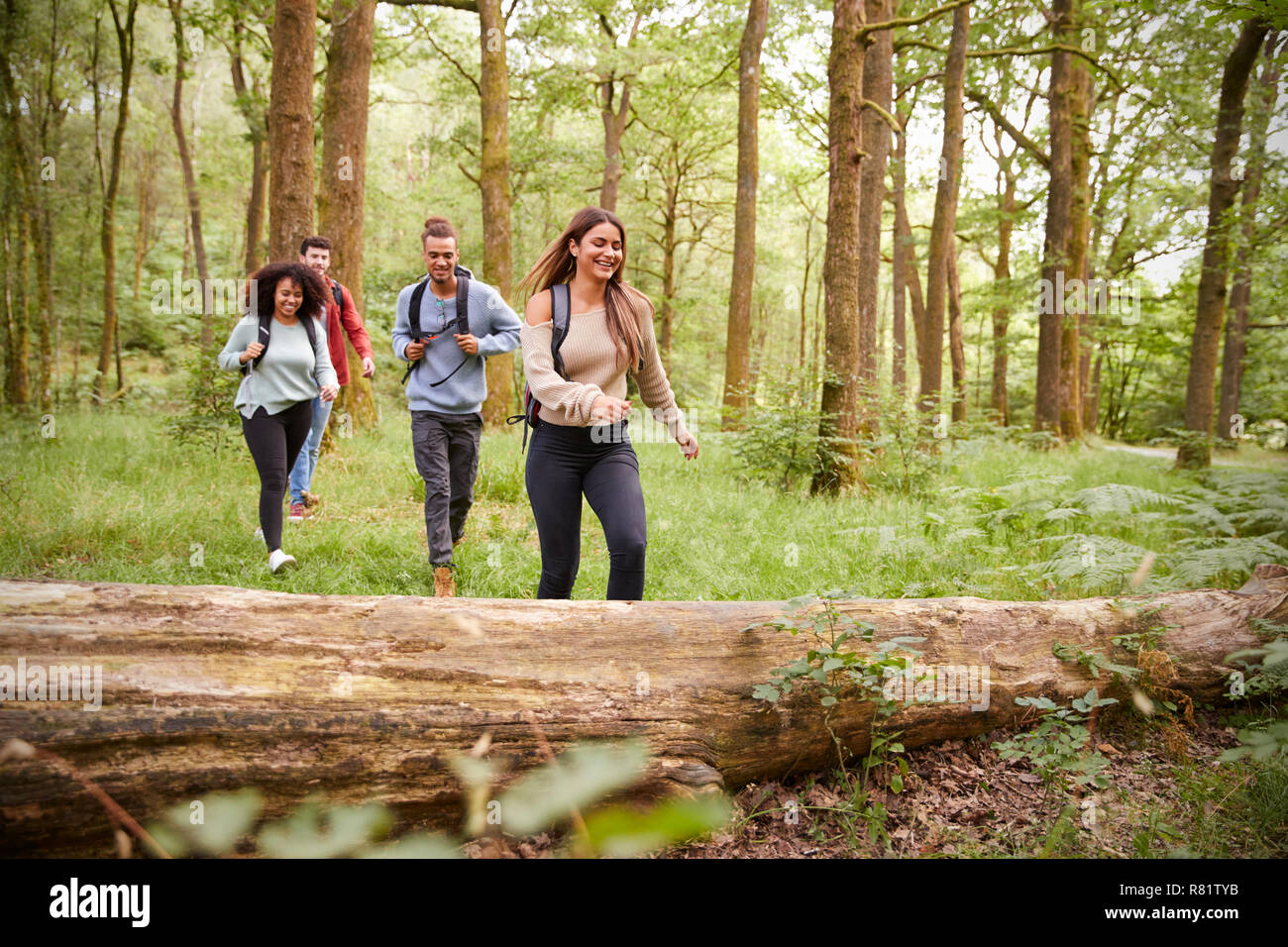 Multi-ethnische Gruppe von vier jungen Erwachsenen Freunde zu Fuß in einem Wald bei einer Wanderung, Vorderansicht Stockfoto