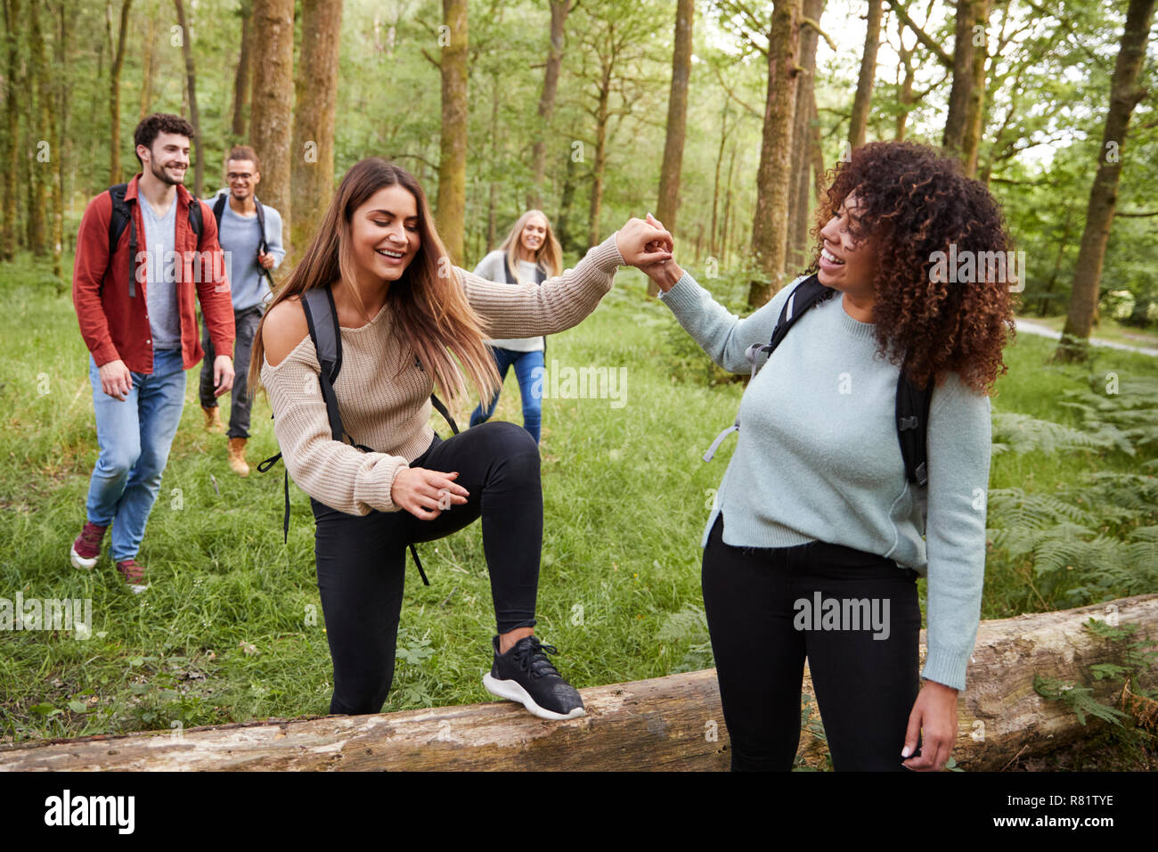Junge Frau, Freundin Schritt über einen umgestürzten Baum während einer Wanderung mit Freunden in einem Wald Stockfoto