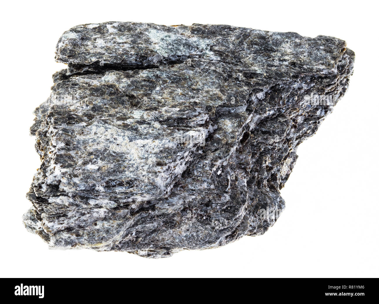 Makrofotografie von natürlichen Mineral aus geologische Sammlung rough-Quarz biotit Schiefer auf weißem Hintergrund Stockfoto