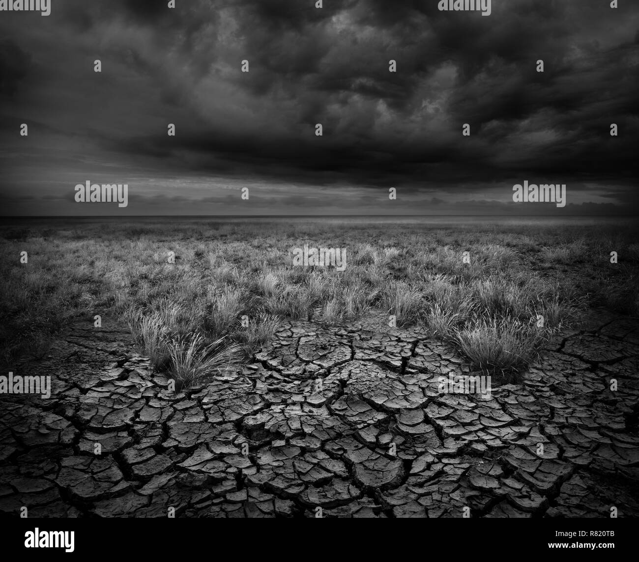Dunkle schwarze und weiße Landschaft Stockfoto
