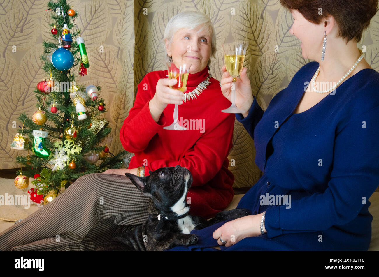 Familie Momente zur Weihnachtszeit. alte Frau lächeln. Großmutter und ihrer Tochter sitzen in der Nähe von Weihnachten Baum. Geist des Neuen Jahres. Clink Gläser mit Champagner. Stockfoto