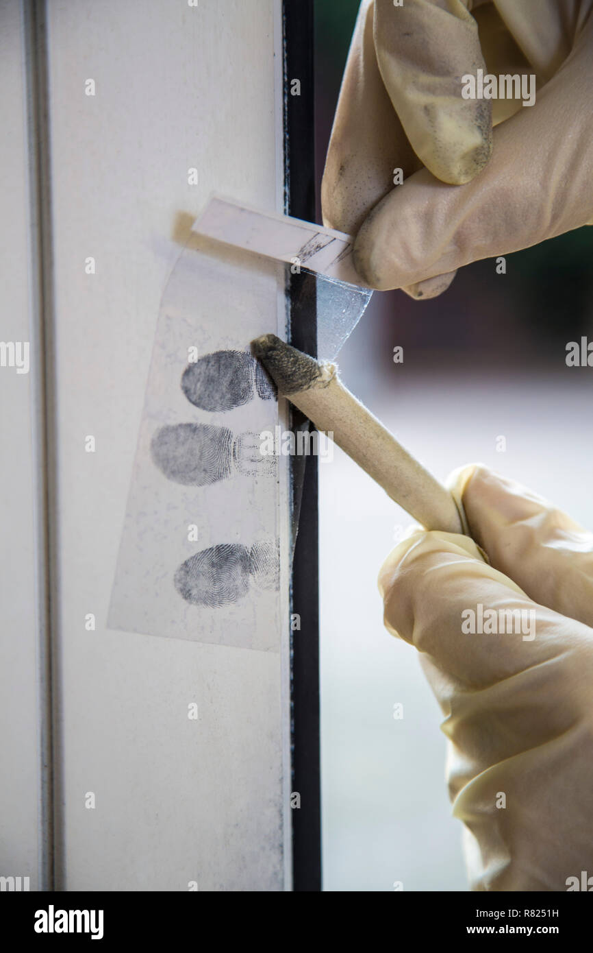Fingerabdrücke auf ein Fenster, Forensik nach einem Einbruch, Einbruchdiebstahl, Deutschland Stockfoto