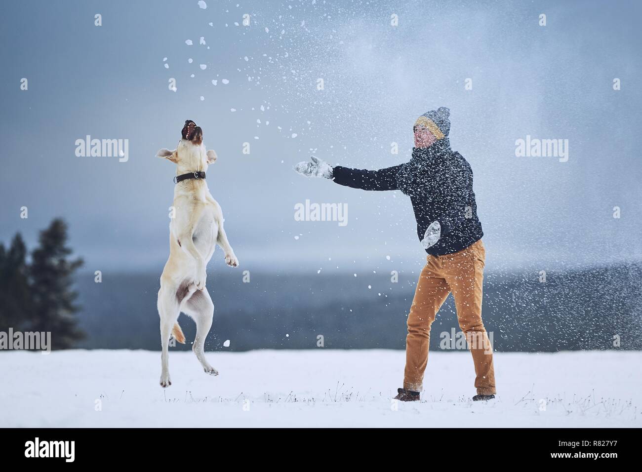Freundschaft zwischen Tierhalter und seinem Hund. Junge Mann spielt mit Labrador Retriever im Winter Landschaft. Stockfoto