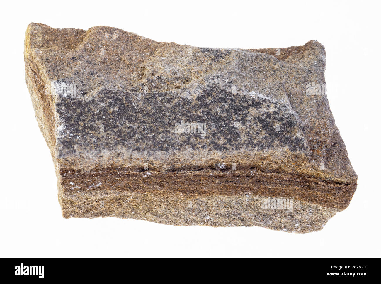 Makrofotografie von natürlichen Mineral aus geologische Sammlung - raw polymiktisch Sandstein Stein auf weißem Hintergrund Stockfoto