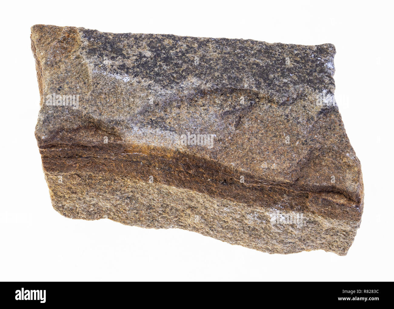 Makrofotografie von natürlichen Mineral aus geologische Sammlung - Grobe polymiktisch Sandstein Stein auf weißem Hintergrund Stockfoto