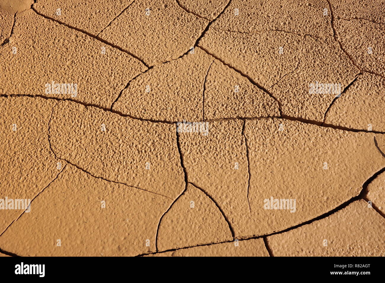 Aus getrockneten Schlamm Stockfoto