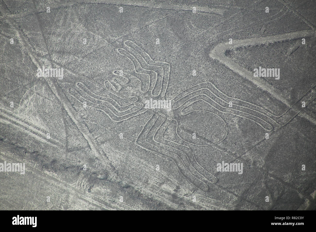 Luftaufnahme von Nazca-Linien - Spider Geoglyph, Peru. Die Linien wurden im Jahr 1994 als UNESCO-Weltkulturerbe ausgewiesen. Stockfoto