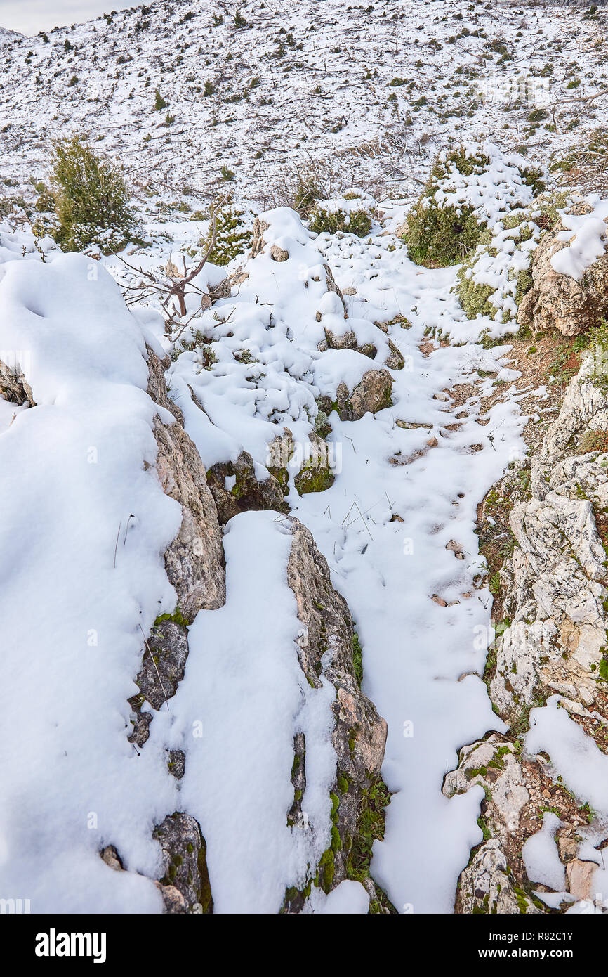 Landschaftlich schöne Aussicht auf verschneite Wald details während des Winters in Parnitha Berg, Griechenland, Grußkarten Weihnachten in der Saison Stockfoto