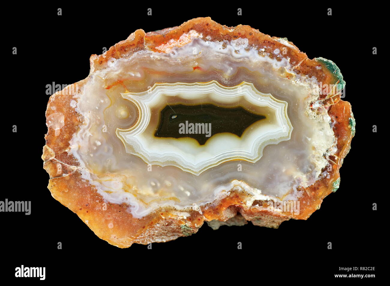 Einen Querschnitt aus Achat. Ein Schnee-weiße Chalcedon ist mit Grau, transparenter Quarz verwoben. Chalcedon Laminierung auftritt. Herkunft: Agouin, Marokko. Stockfoto