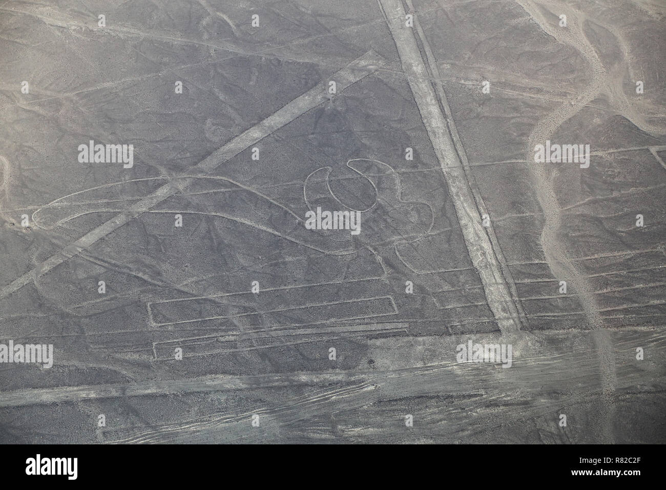 Luftaufnahme von Nazca-Linien - Papagei Geoglyph, Peru. Die Linien wurden im Jahr 1994 als UNESCO-Weltkulturerbe ausgewiesen. Stockfoto