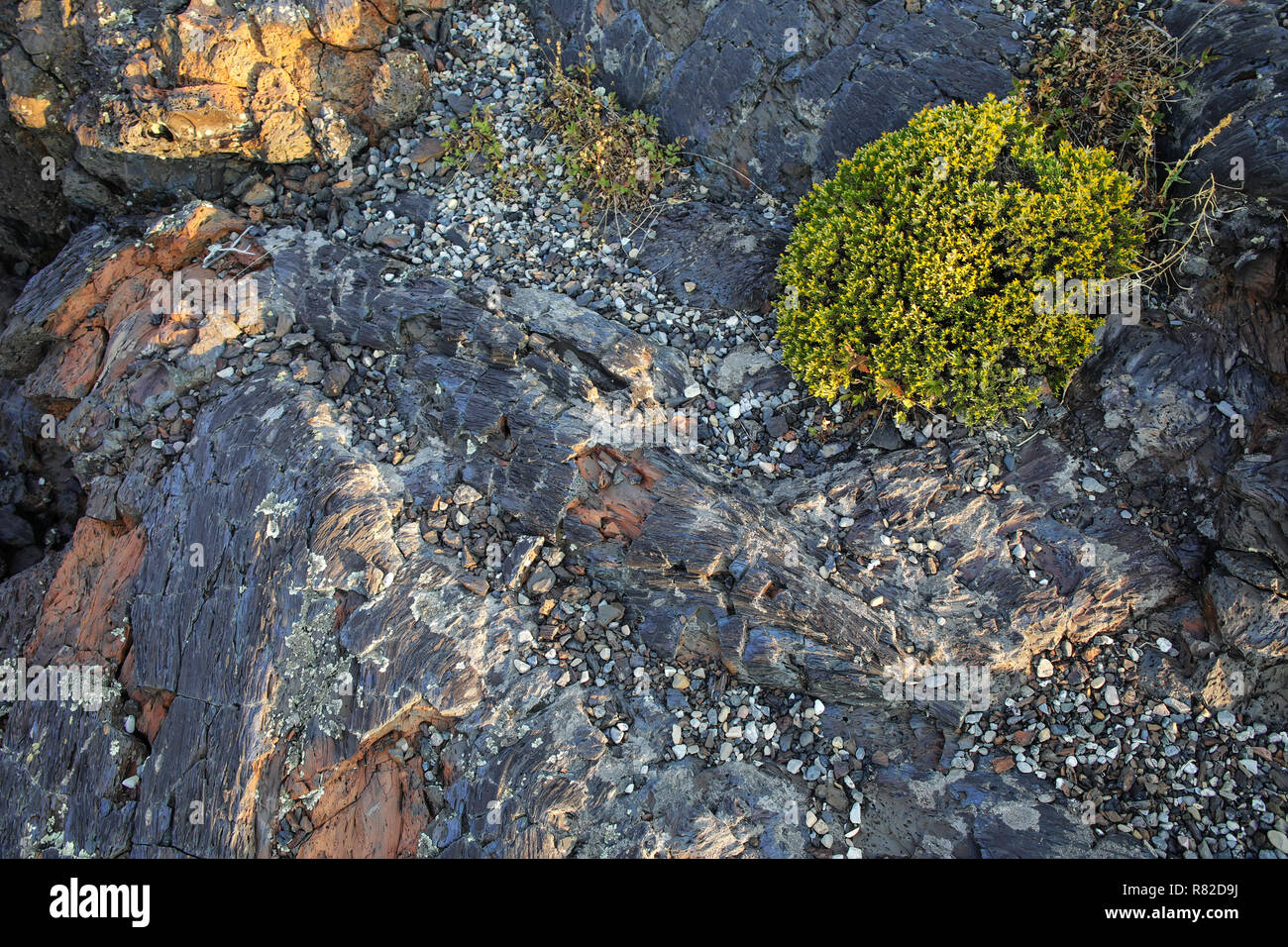 Lava Feld an der North Crater Flow Trail, Krater des Mondes National Monument, Idaho, USA Stockfoto