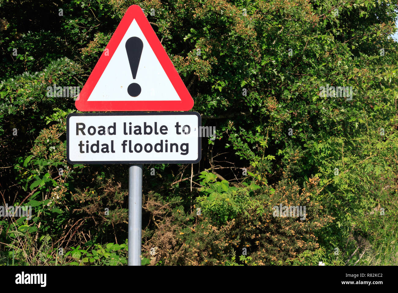 Straße haftet der Gezeiten Hochwasser Zeichen Stockfoto