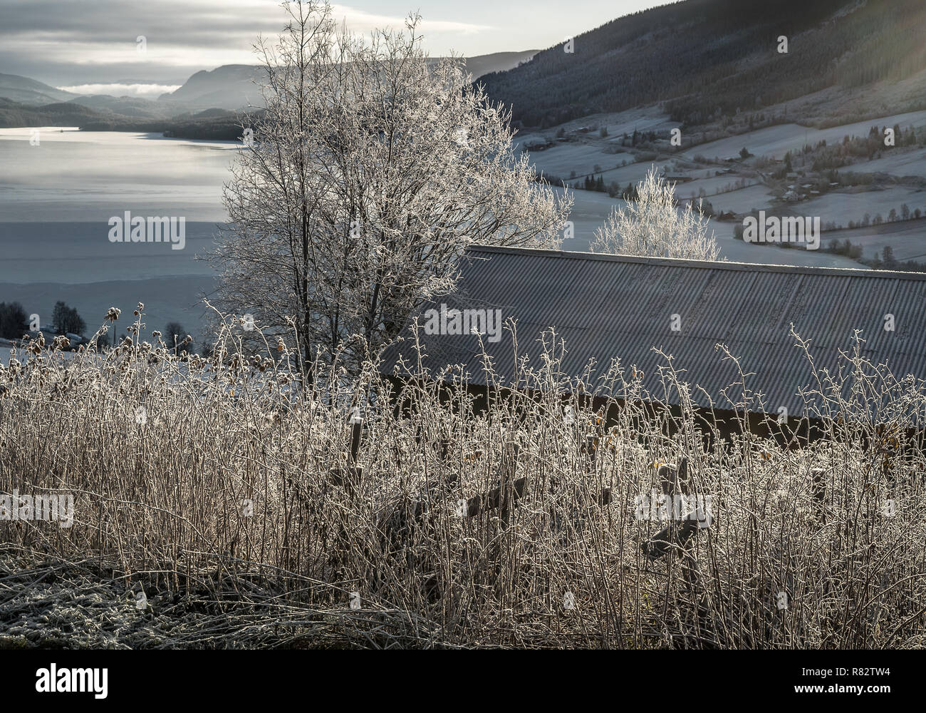 Frosted ländlichen Winterlandschaft bei kalter Temperatur mit Reim auf Frische, gefrorene Blätter und Bäume, Eis und Reif auf den See und die Berge Stockfoto