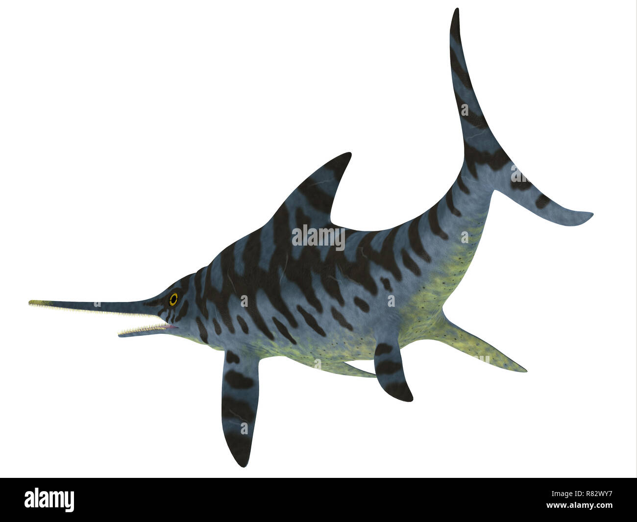 Eurhinosaurus Reptile Schwanz - Ichthyosaur Eurhinosaurus war eine fleischfressende Reptilien, die in Europa während der Kreidezeit lebten. Stockfoto