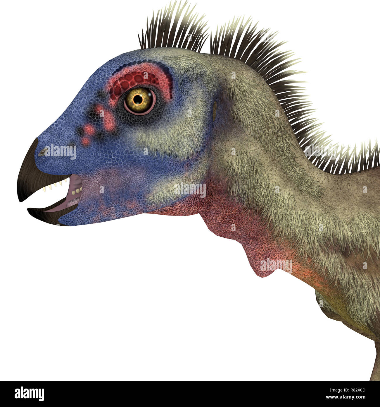 Hypsilophodon Dinosaurier Hypsilophodon Kopf - war ein Allesfresser ornithopoden Dinosaurier, die in England während der Kreidezeit lebten. Stockfoto