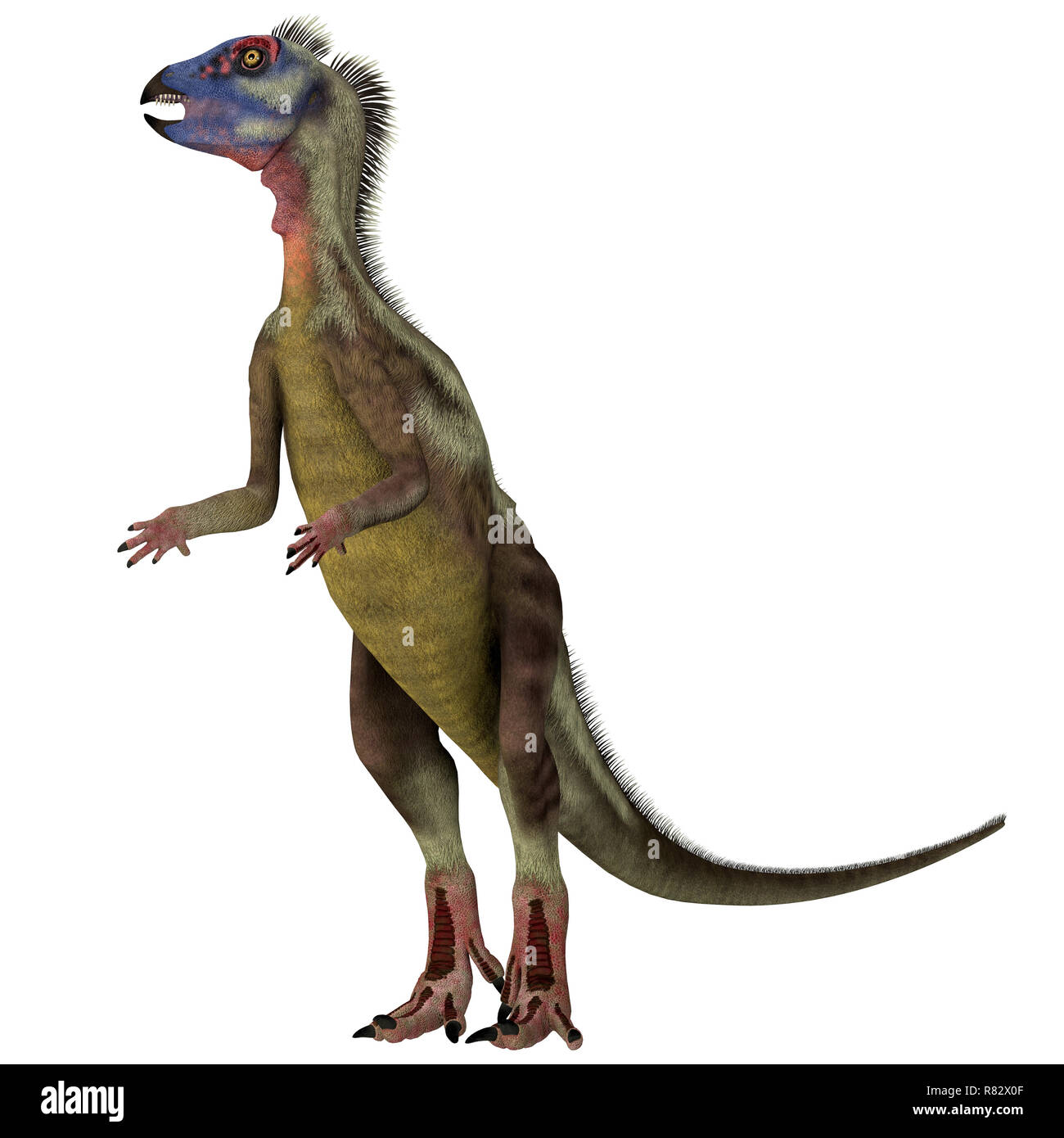 Dinosaurier Hypsilophodon auf Weiß - Hypsilophodon war ein Allesfresser ornithopoden Dinosaurier, die in England während der Kreidezeit lebten. Stockfoto