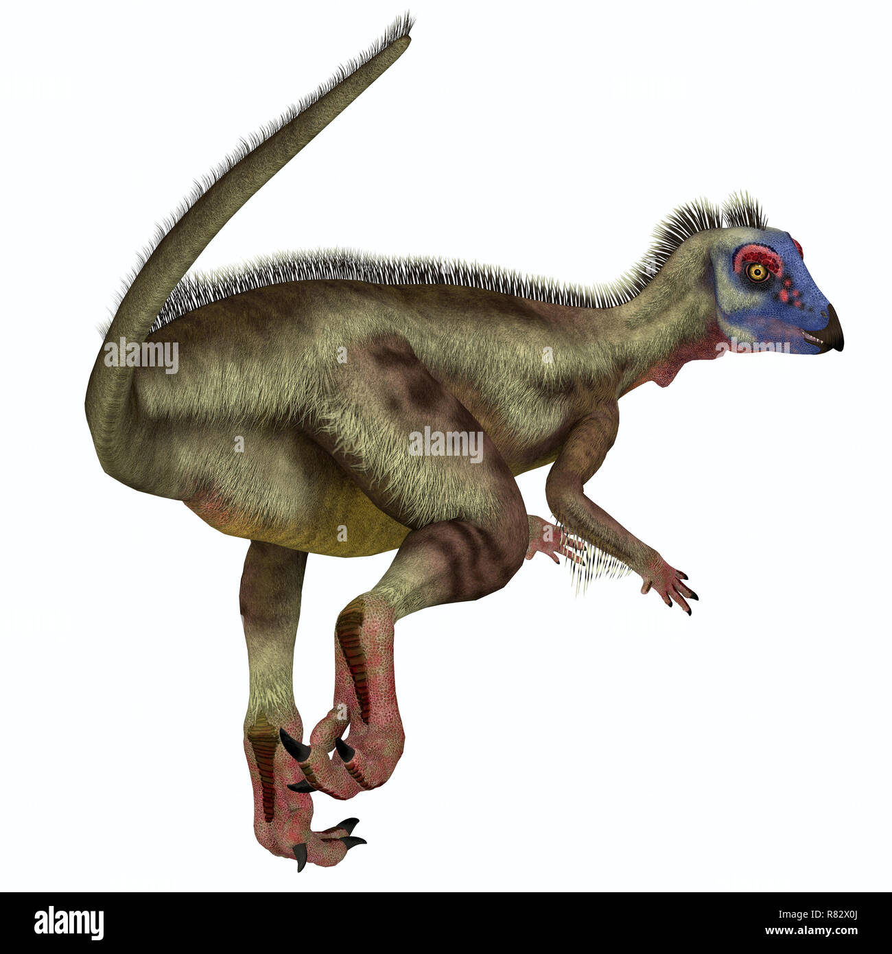 Dinosaurier hypsilophodon Schwanz - Hypsilophodon war ein Allesfresser ornithopoden Dinosaurier, die in England während der Kreidezeit lebten. Stockfoto