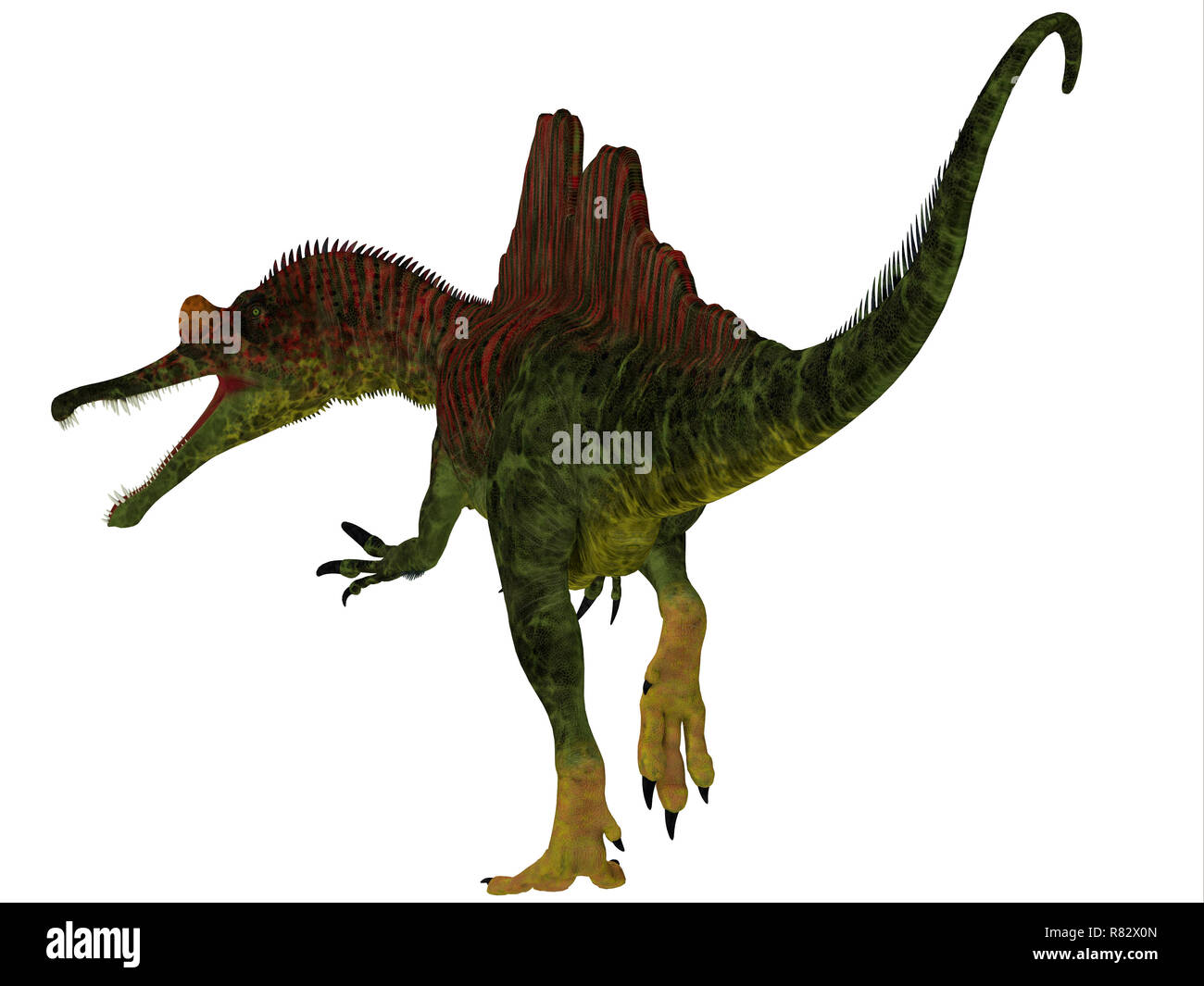 Ichthyovenator Dinosaurier Schwanz - Ichthyovenator war eine fleischfressende Theropode Saurier, die in Laos, Asien in der Kreidezeit lebten. Stockfoto