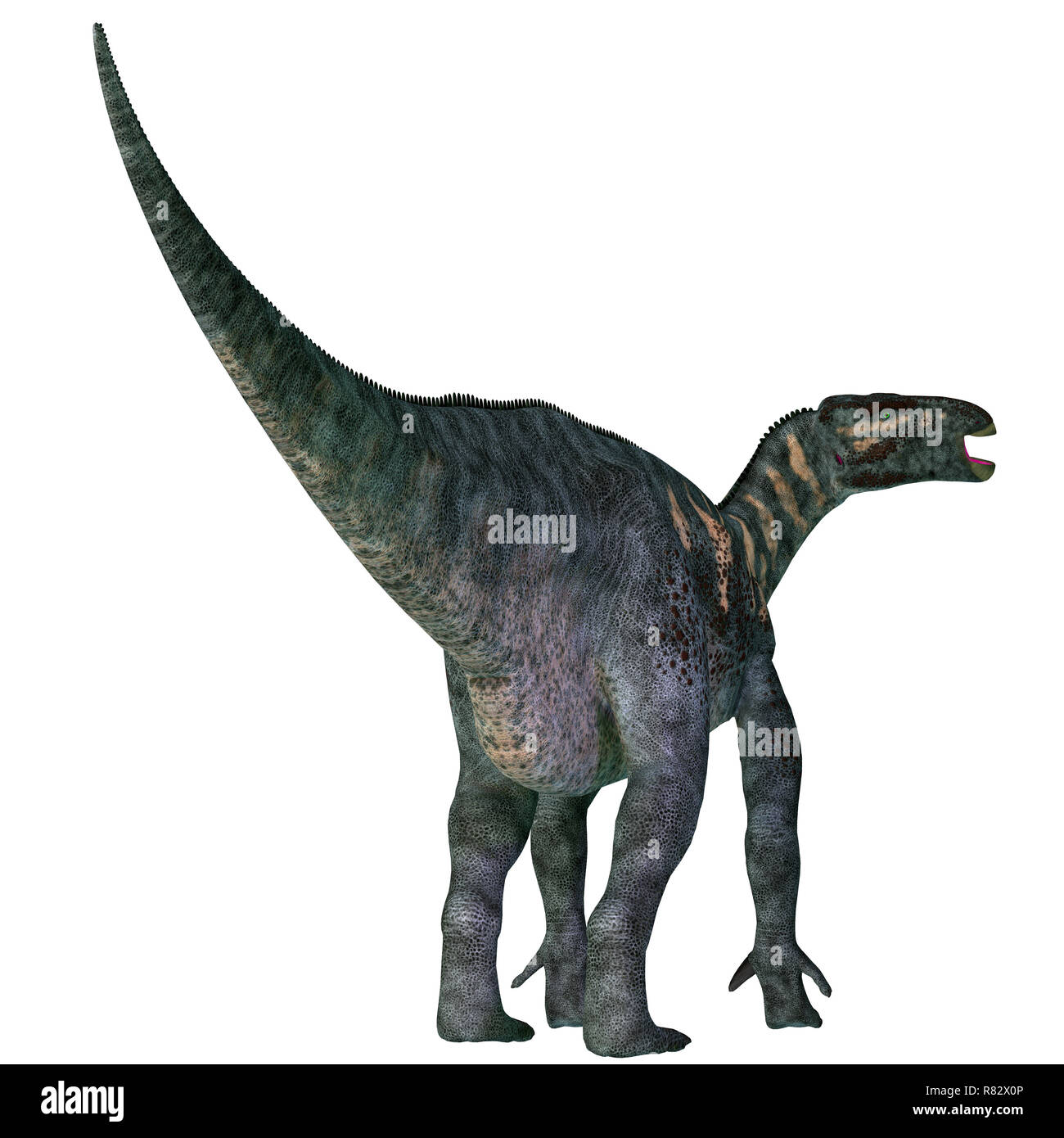 Iguanodon Dinosaurier Schwanz - Iguanodon war ein Pflanzenfresser ornithopoden Dinosaurier, die in Europa während der Kreidezeit lebten. Stockfoto