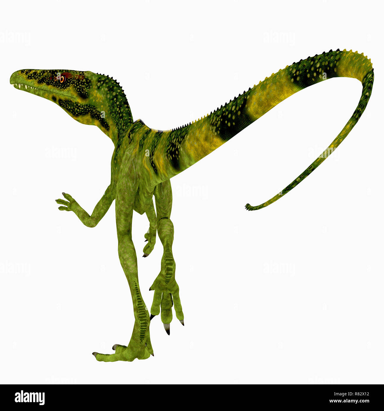 Dinosaurier juravenator Schwanz - Juravenator war eine fleischfressende Theropode Saurier, die in Deutschland während der Kreidezeit lebten. Stockfoto